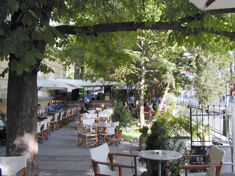 sP5051446.JPG