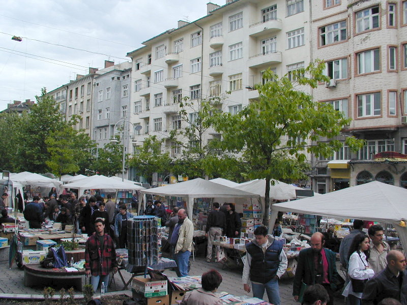 sP5141494.JPG