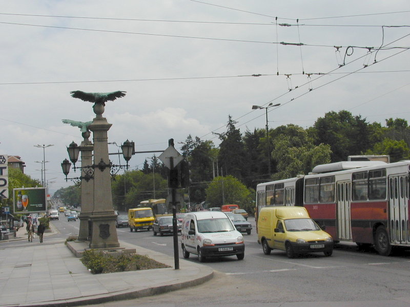 sP5141531.JPG