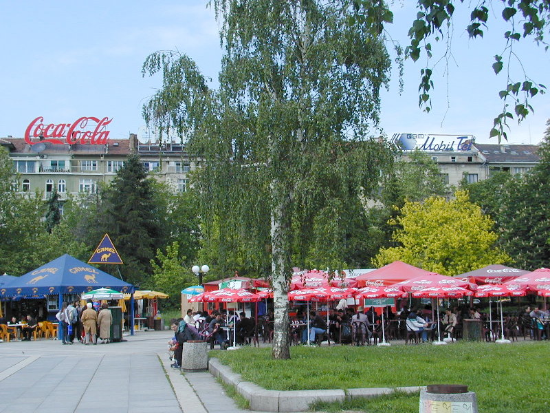 sP5141544.JPG