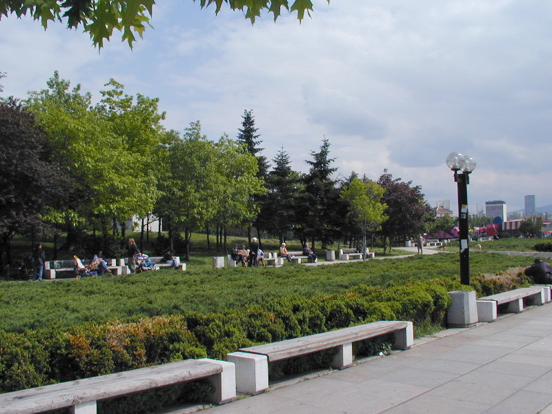 sP5141545.JPG