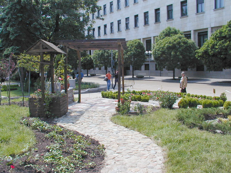 sP5271696.JPG