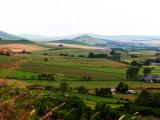 21st July, 2000 years of farming