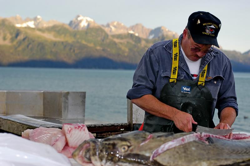 After good fishing trip (halibut) I