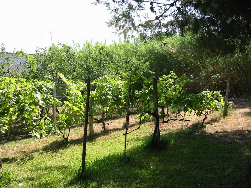 124-2419_IMG.JPG