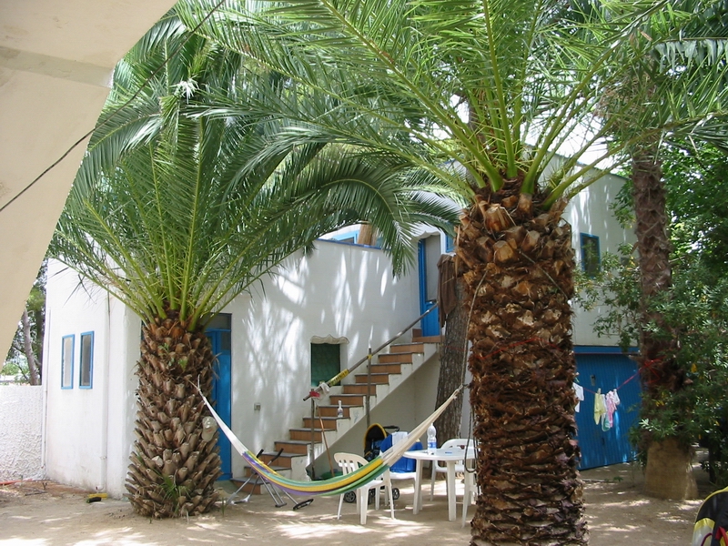 124-2471_IMG.JPG