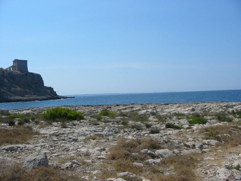 129-2961_IMG.JPG