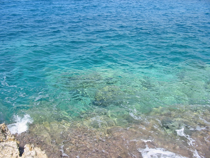 129-2964_IMG.JPG
