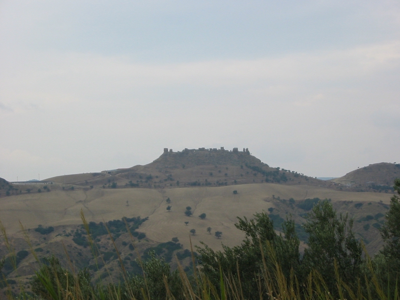 130-3046_IMG.JPG