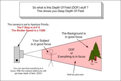 The Depth Of Field (DOF) is controlled by the Aperture setting. The smaller the aperture number the less DOF you will have. The larger the aperture number the greater the DOF. This example shows a very high aperture number, (small amount of light coming into the camera) which results in a greater DOF.