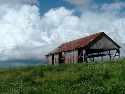 shed4.JPG