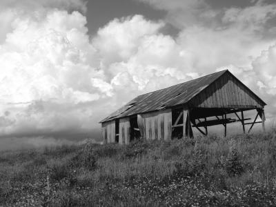 shed5.JPG