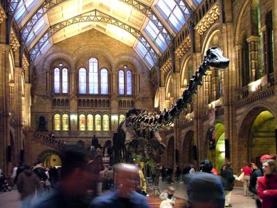 Natural History Museum, London