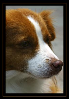 IMG_4350.jpg