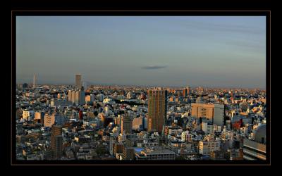 IMG_9044.jpg