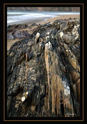 Bantham-Beach.jpg