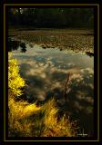 65DT9499_RT16Copying.jpg