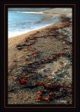 Beach-at-Durdle-Door.jpg