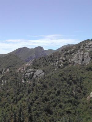 DSCN2454m6.jpg