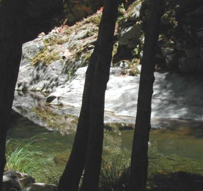 DSCN2456glade2.jpg