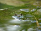 DSC03100.jpg