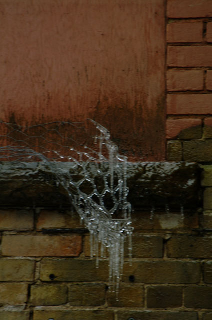 DSCF1371.jpg