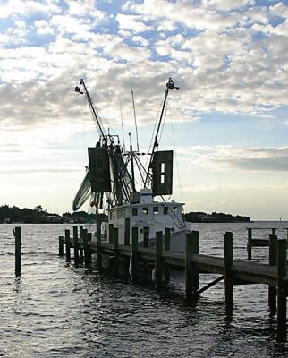 u32/pete_2003/medium/31426730.ShrimpBoat.jpg