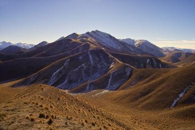 Tussock View