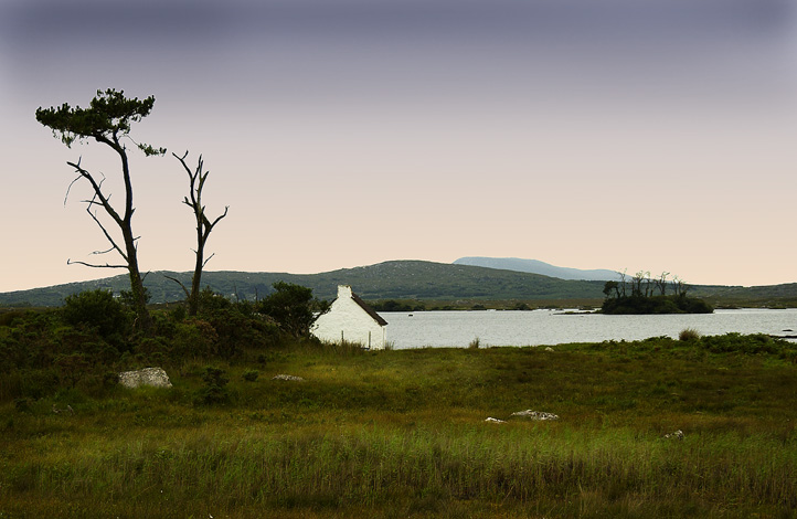 Lonely Cottage