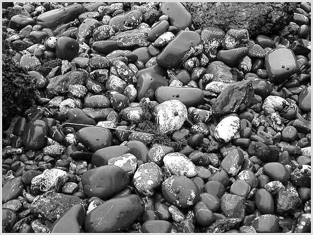 wet stones