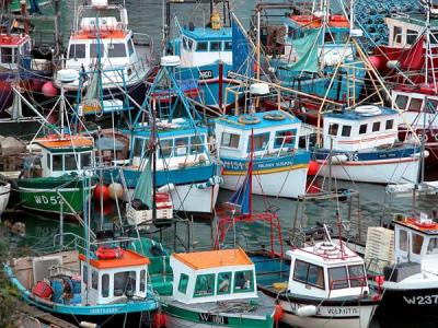 Fishing Harbour - Dunmore East (Co. Waterford)
