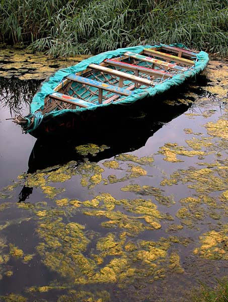 Irish National Heritage Park (Co. Wexford)