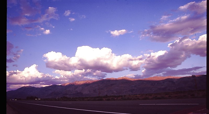 Web Image03.jpg