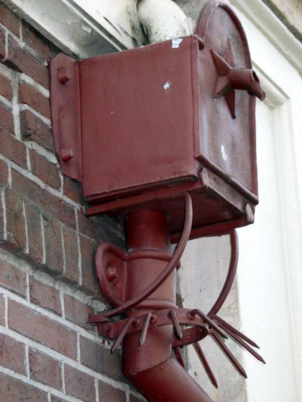 Downspout Overflow with Guard
