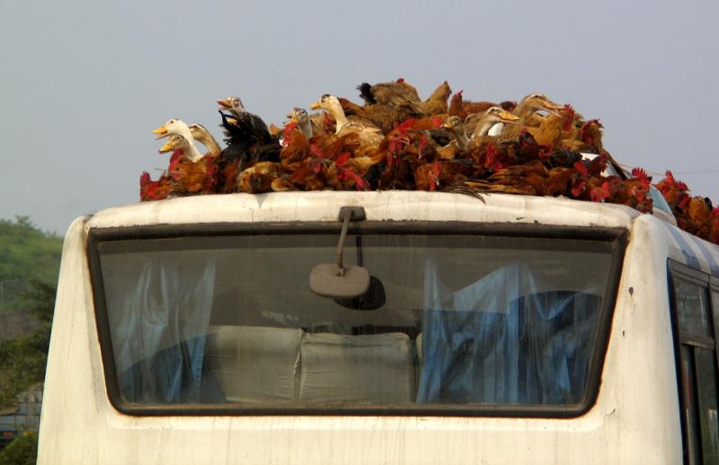 Riding high, near Chongqing, China, 2004