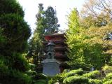 Japanese Tea Garden.JPG