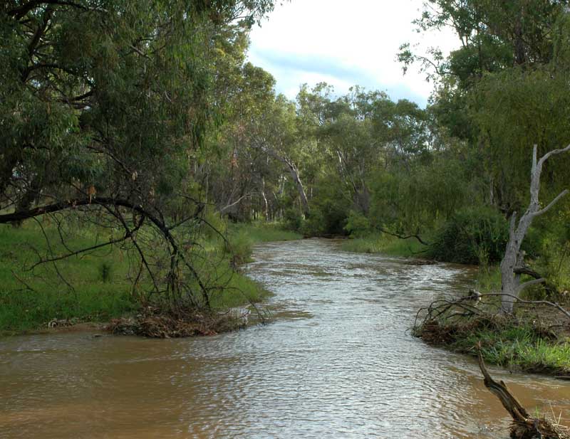 Capertee River