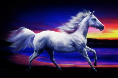 u32/pstewart/medium/21182091.wallyonvelvet.jpg