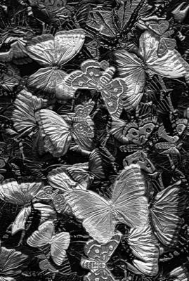 Silver Butterflies