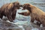 Alaskan Brown Bears