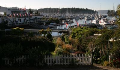 Gardens and Harbor