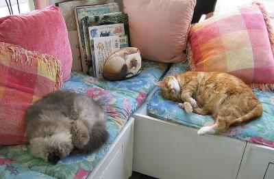 Cat Clinic Mascots