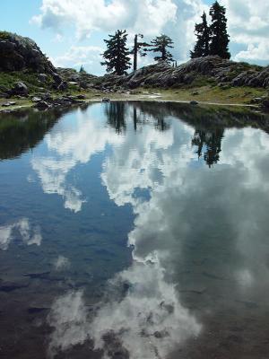 Reflection  in Pond at Artist's Point