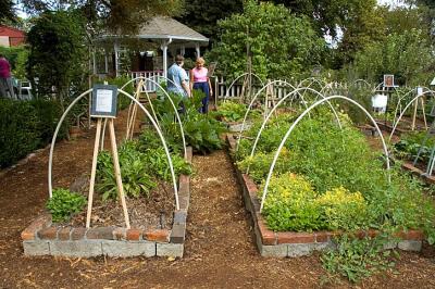1032_garden.jpg
