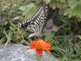 Image04.jpg
