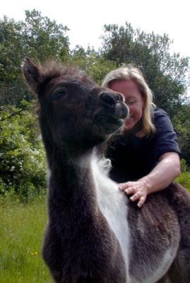 Filly3.JPG