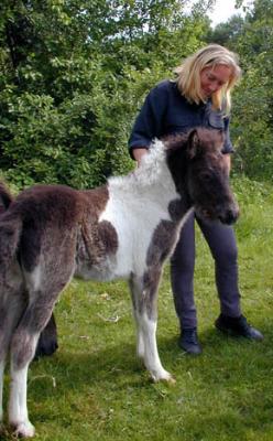 Filly5.JPG