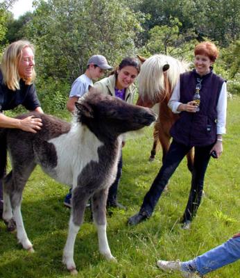 Filly6.JPG