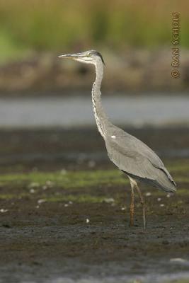 C10D_02152.jpg