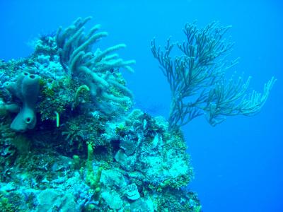 Cozumel September 2003